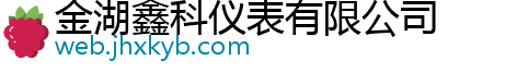 金湖鑫科仪表有限公司